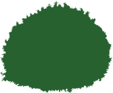 Green Bush