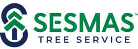 Tree Removal