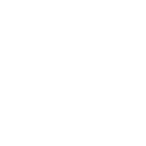 Experienced Professionals