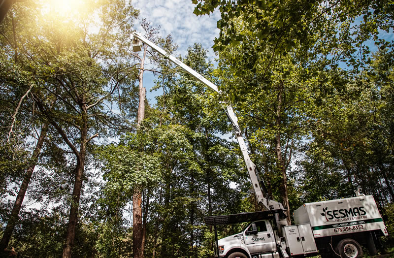 Your Guide to Land Clearing