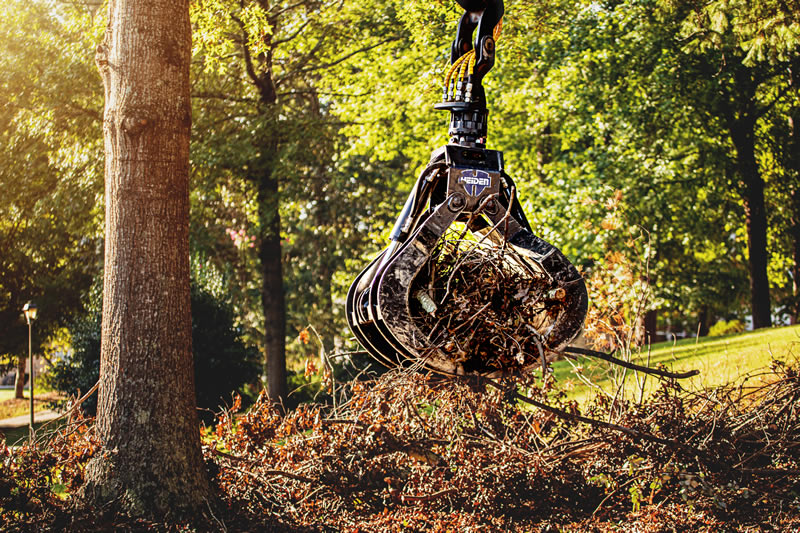 Why Fall and Winter Pruning is Essential for Tree Health