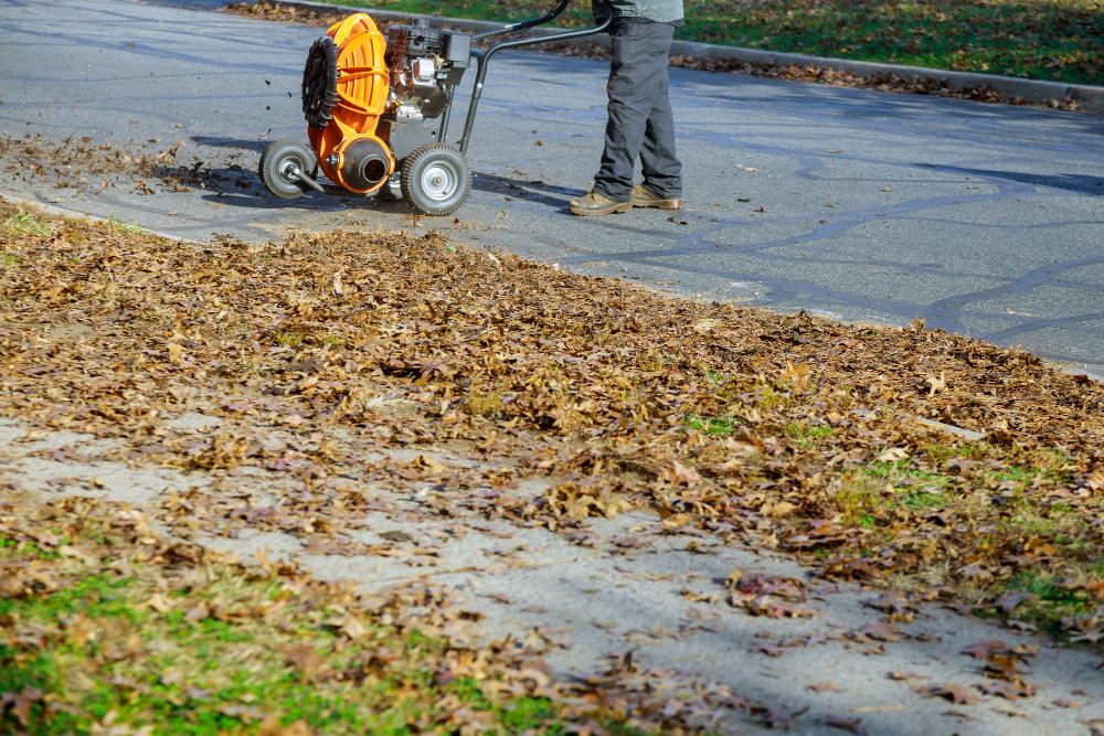 Why Is Right of Way Clearing Important?