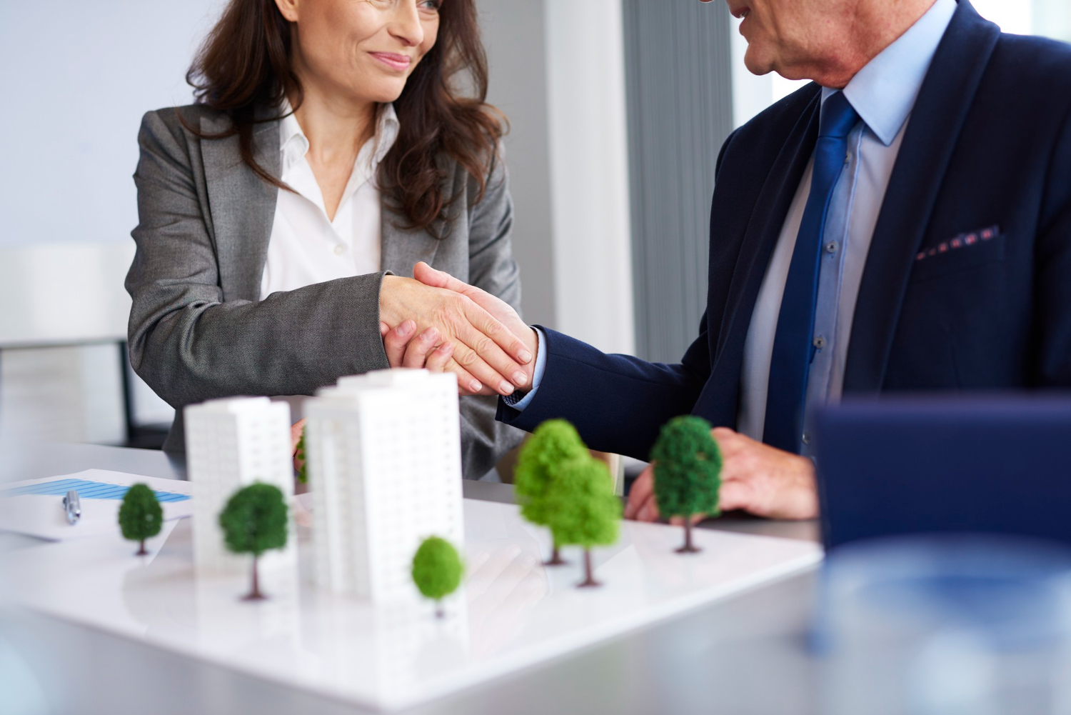 How Trees Increase Your Property Value
