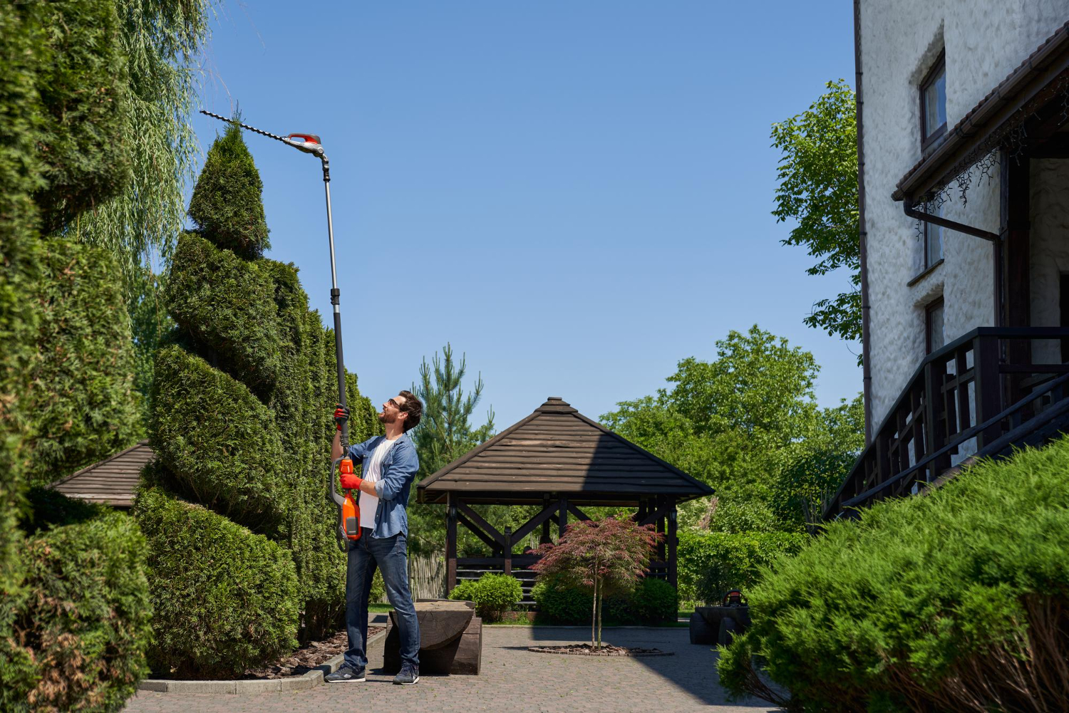 Why Tree Care Is Essential for Home Value and Curb Appeal