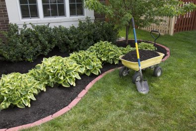 How to Fix Oversaturated Soil