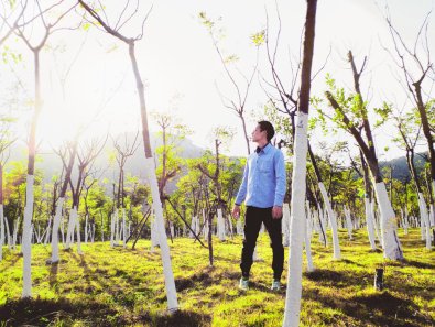 Long-Term Tree Care Plans: Keeping Your Landscape Healthy for Years