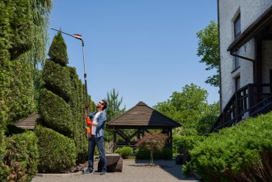 Why Tree Care Is Essential for Home Value and Curb Appeal