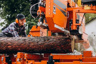 Are Cheap Tree Removal Services Worth the Risk?