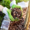The Importance of Mulching Newly Planted Trees