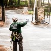 Preparing Your Trees for Summer Storms