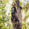 How To Remove A Tree From A Tight Space