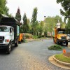 5 Reasons to Contact a Tree Removal Service