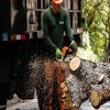 How to Use a Chainsaw Safely