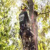 Summer Tree Trimming Tips