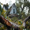 What to Do When a Tree Falls on Your Home