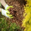 Benefits of Adding Mulch to Your Yard