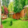 How to Properly Care for the Trees in Your Yard