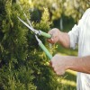 Healthy Trees, Healthy Yard: Why Regular Tree Care is Essential