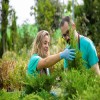 The Importance of Proactive Tree and Plant Health Management