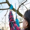 Top 5 Mistakes Homeowners Make When Trimming Trees