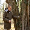 What Happens After a Tree Service Visit? (The Clean-Up Truth)