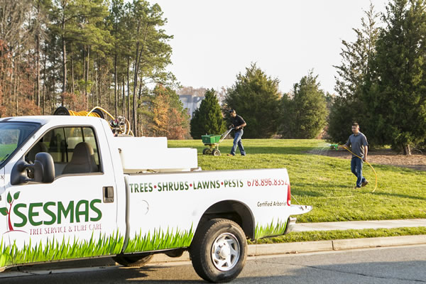 Lawn Care