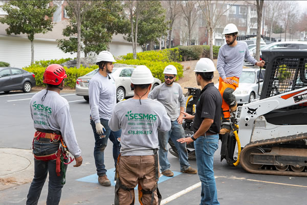 Trusted Tree Company in Acworth, GA