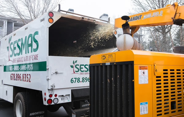 Trusted Tree Company in Woodstock, GA