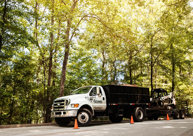 Trusted Tree Company in Kennesaw, GA
