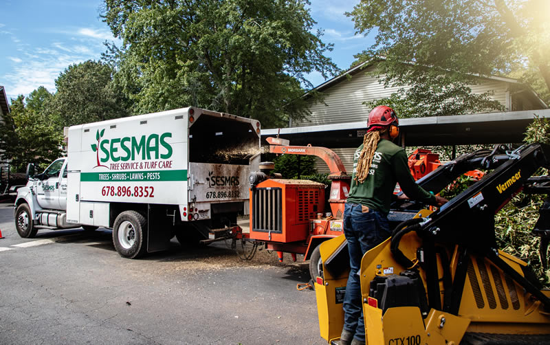 Trusted Tree Company in Marietta, GA