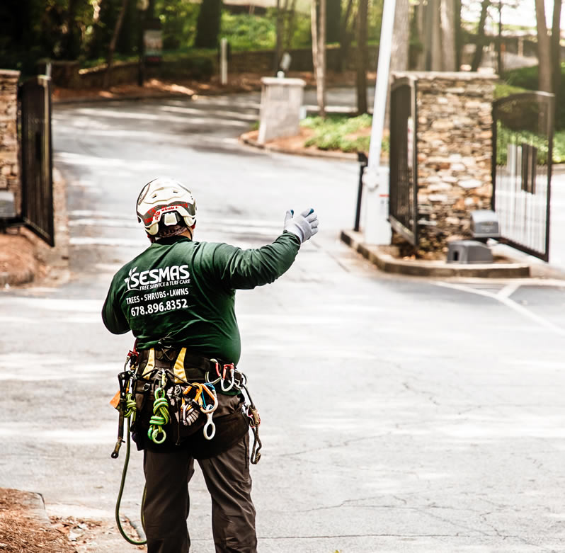 Trusted Tree Company in Charlotte, NC