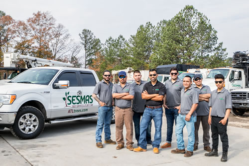 Trusted Tree Company in Belmont, NC