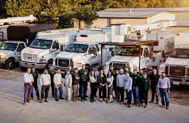 Trusted Tree Company in Pineville, NC