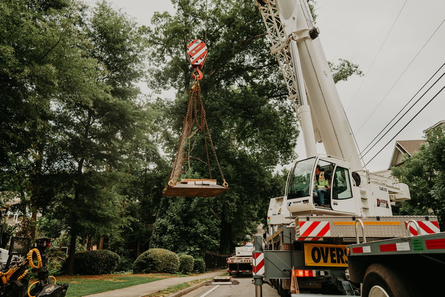 Trusted Tree Company in Weddington, NC