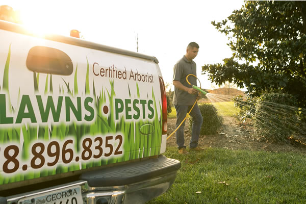 Tree & Shrub Care