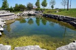 Retention Pond & Stormwater Maintenance