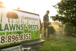 Tree & Shrub Care