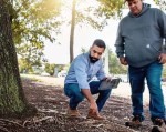 Arborist Services