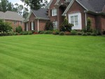 Lawn Care in Buford