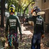 How to Tell When It's Time to Cut Down a Tree