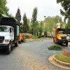 5 Signs Your Trees Aren’t Storm Ready