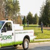 Natural Repellents for Tree Pests